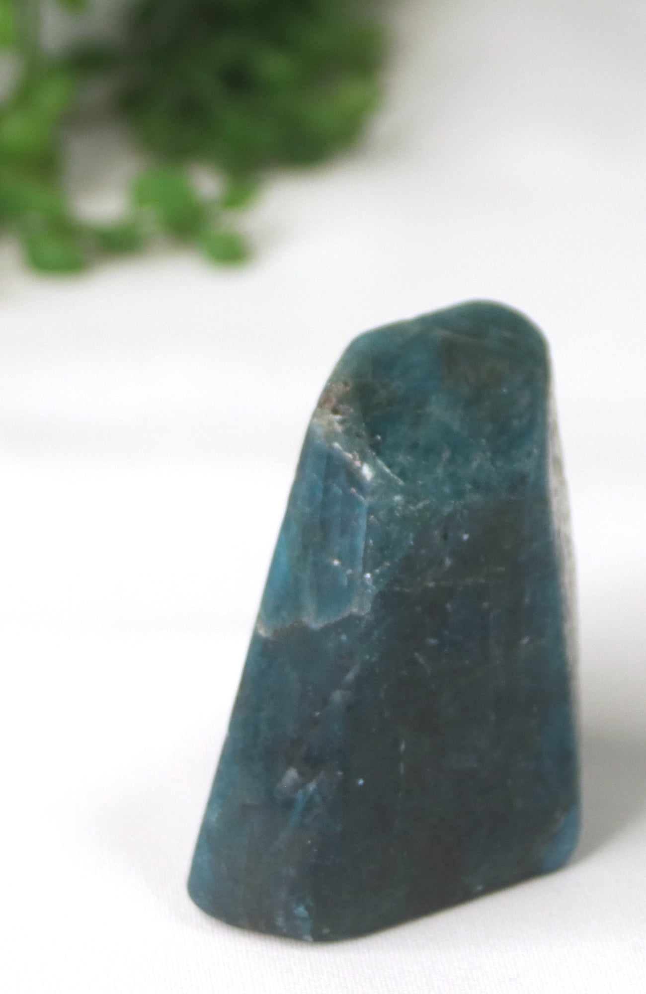 Blue Apatite Freeform